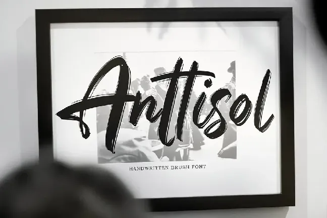 Anttisol font