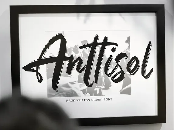 Anttisol font