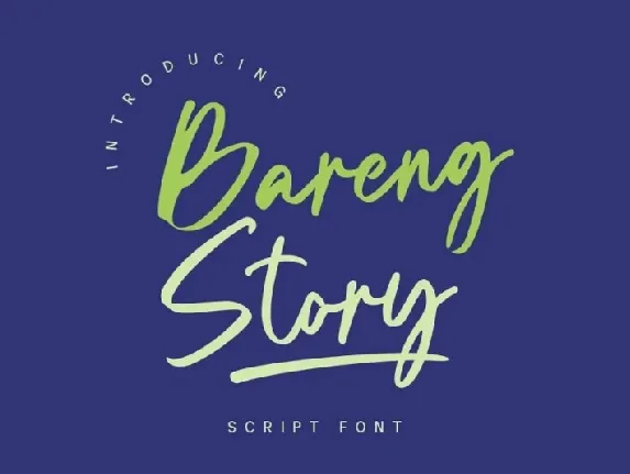 Bareng Story font