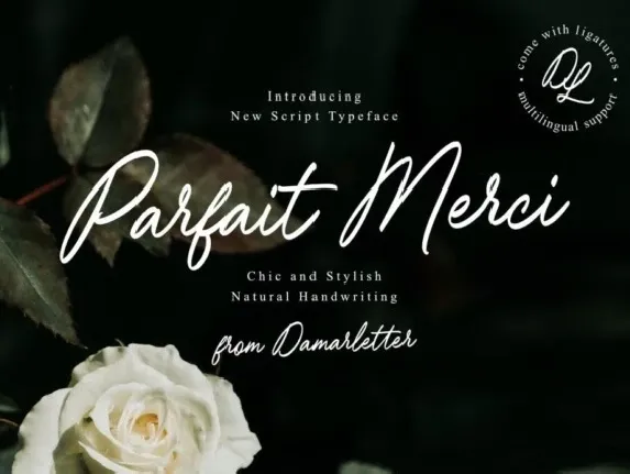 Parfait Merci font