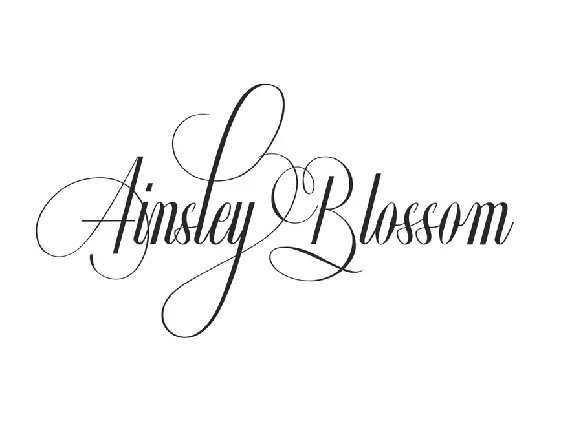 Ainsley Blossom Demo font