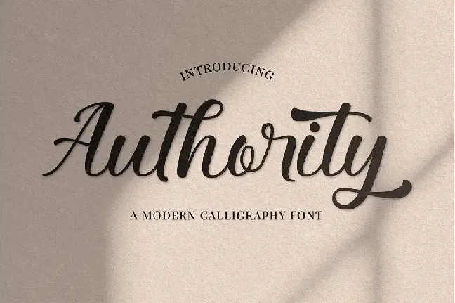 Authority font