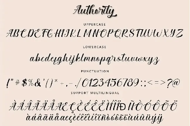 Authority font