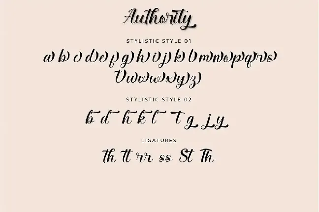 Authority font