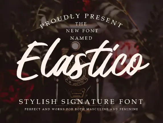 Elastico font