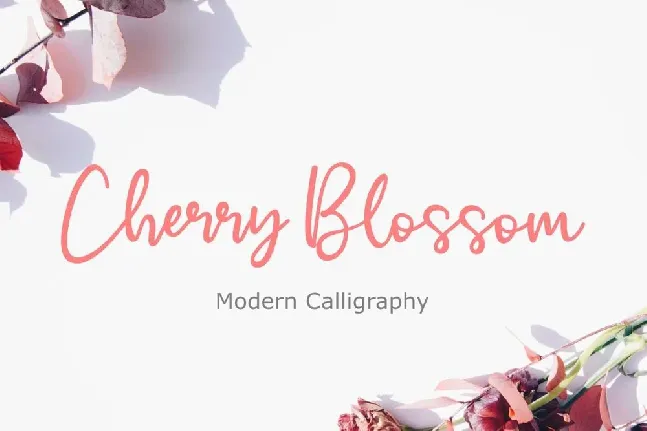 Cherry BlossomFont font