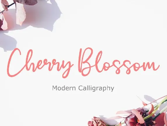 Cherry BlossomFont font