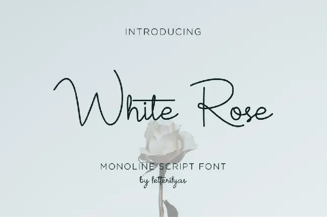 White Rose font