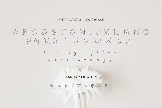 White Rose font