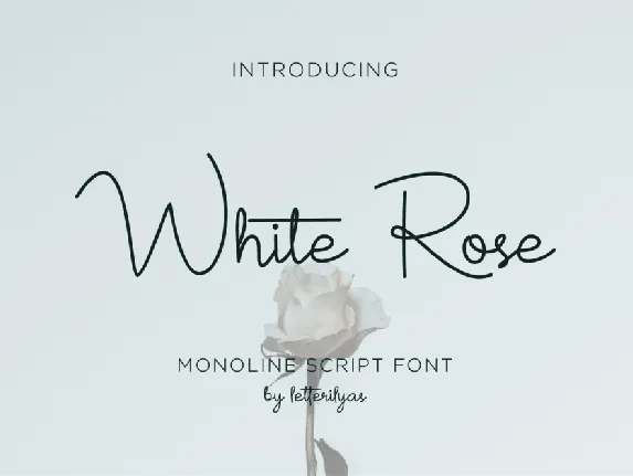 White Rose font