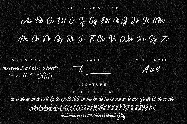 Adventure Script font