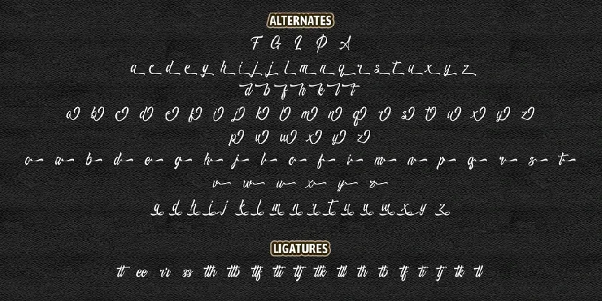 Richtive Script font