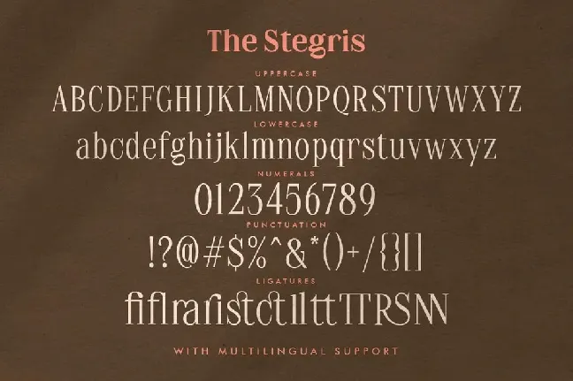 The Stegris Family font