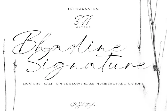 Bhasline font