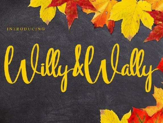 Willy & Wally Script font