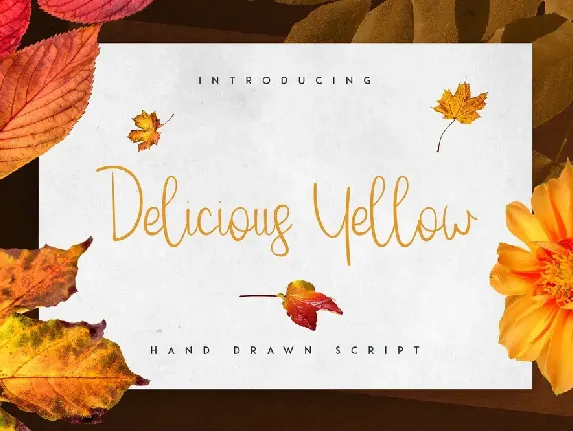 Delicious Yellow font