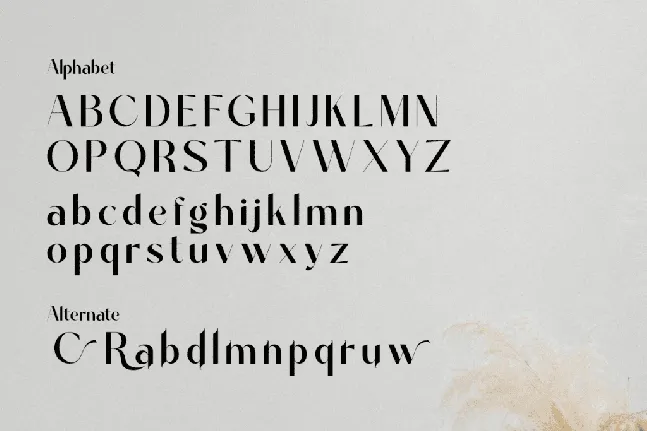 Davinca font