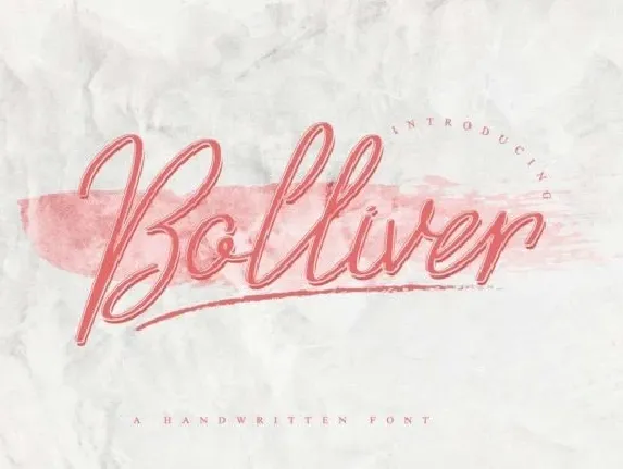 Bolliver Handwritten font