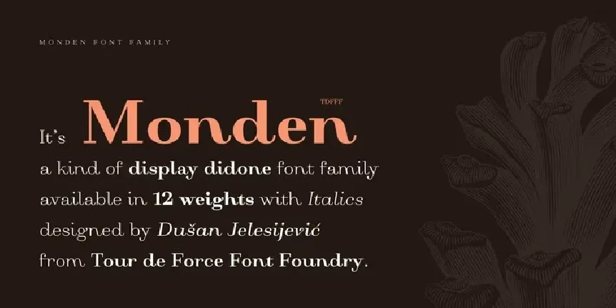 Monden Family font