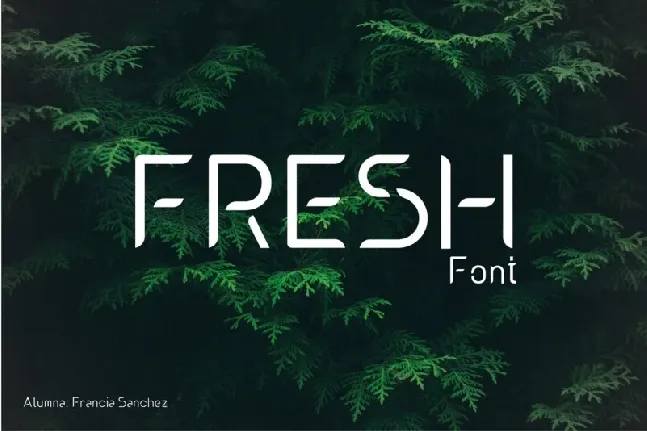 Fresh font