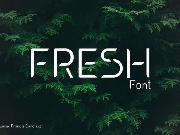 Fresh font