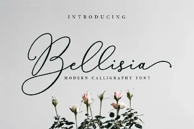 Bellisia font