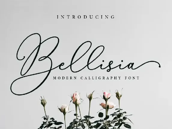 Bellisia font