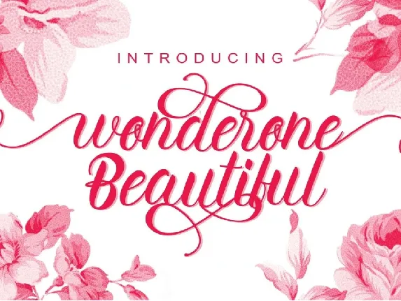 Wonderone font