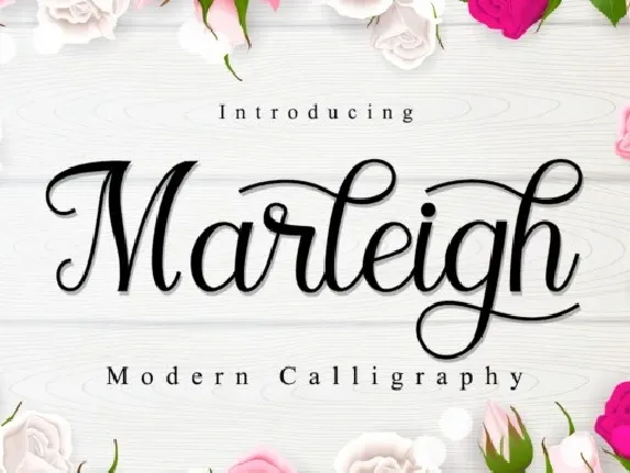 Marleigh Modern Calligraphy font