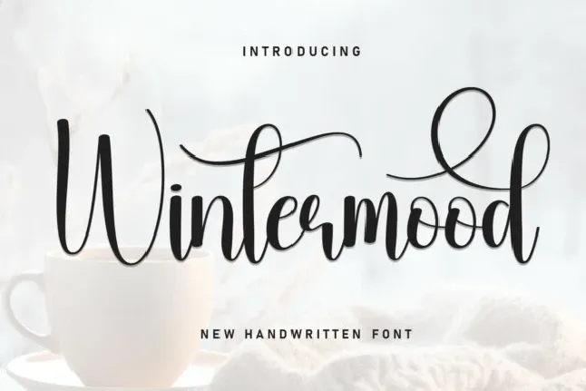 Wintermood Script font