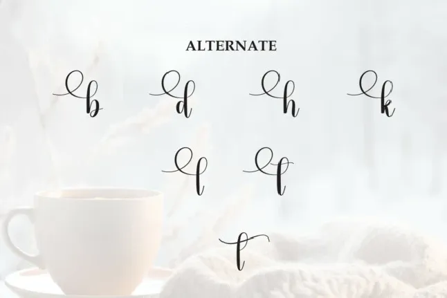 Wintermood Script font