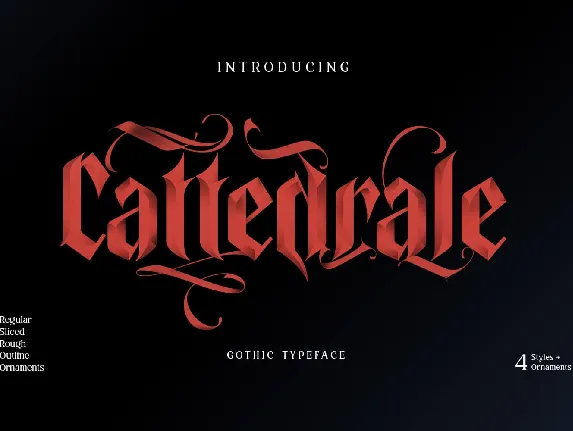 Cattedrale font