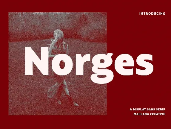 Norges font