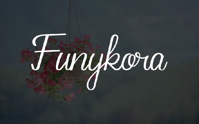 Funykora font