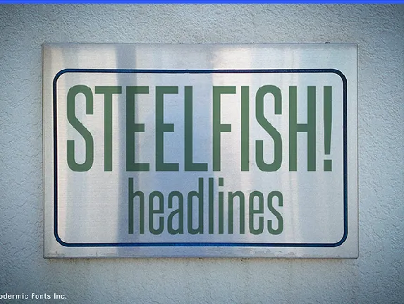 Steelfish font