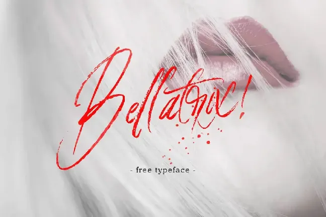 Bellatrix Handbrush font