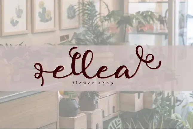 Allie Ethan font