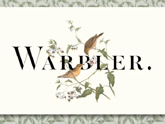 Warbler Family font