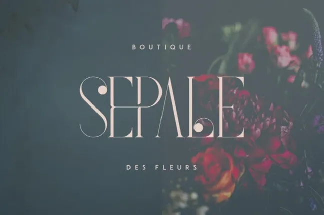 French Typeface font