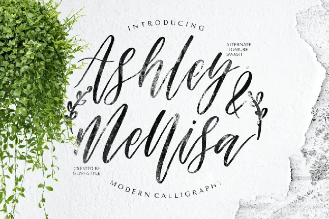 Ashley & Mellisa font