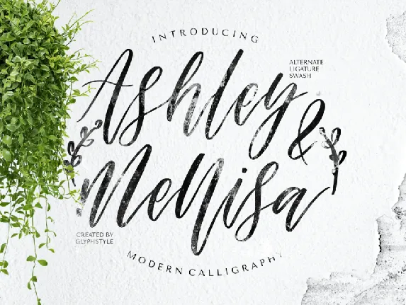 Ashley & Mellisa font