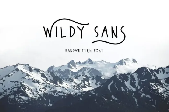 Wildy Sans font