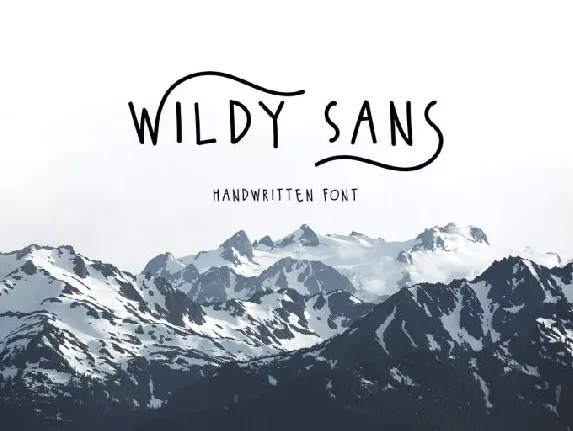 Wildy Sans font