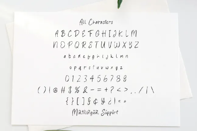 February Notes font