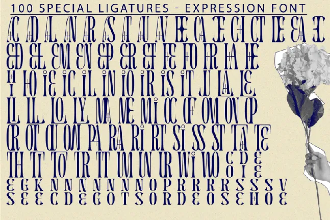 Expression font