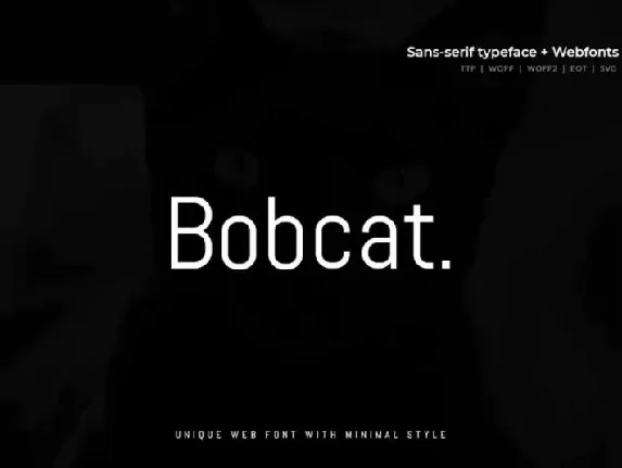 Bobcat â€“ Modern Typeface + WebFont