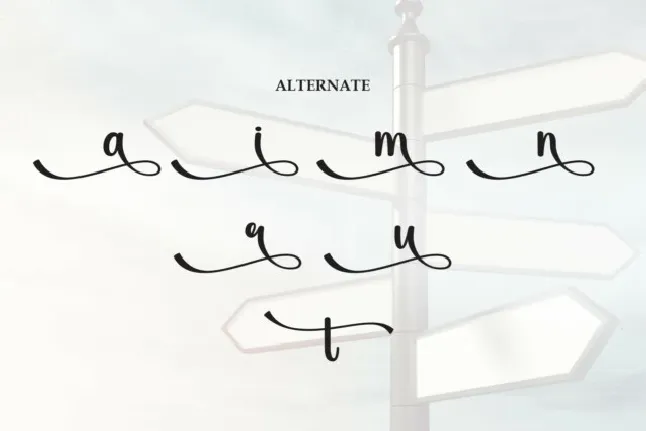 Direction Script font