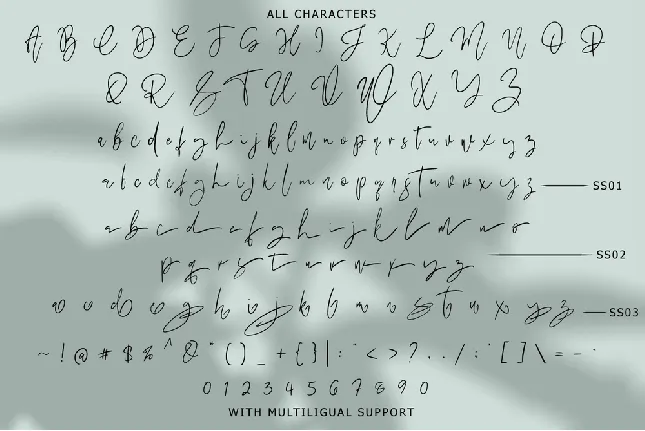 Megidame Signature font