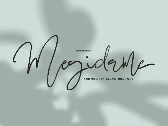 Megidame Signature font