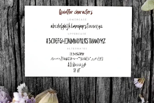 Quinttor font